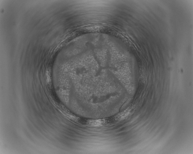 X0000071850131200607290142