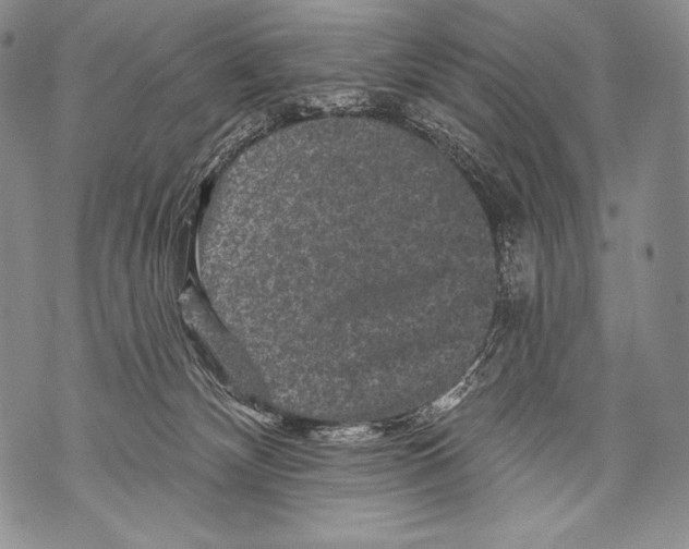 X0000071850132200607290142