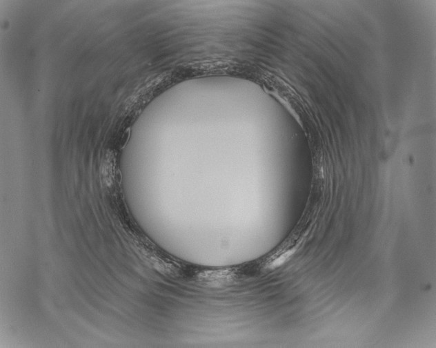 X0000071850133200607290142