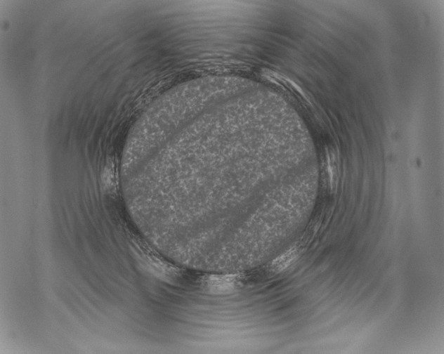 X0000071850134200607290142