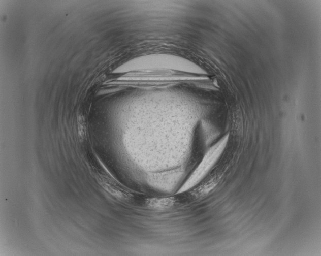 X0000071850135200607290142