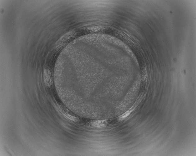 X0000071850136200607290142