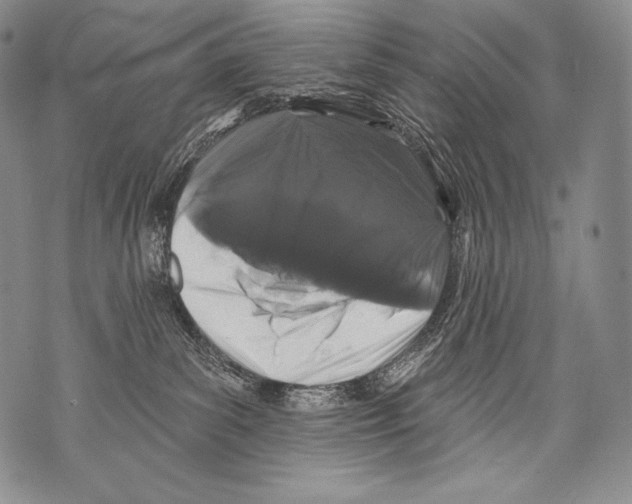 X0000071850139200607290142