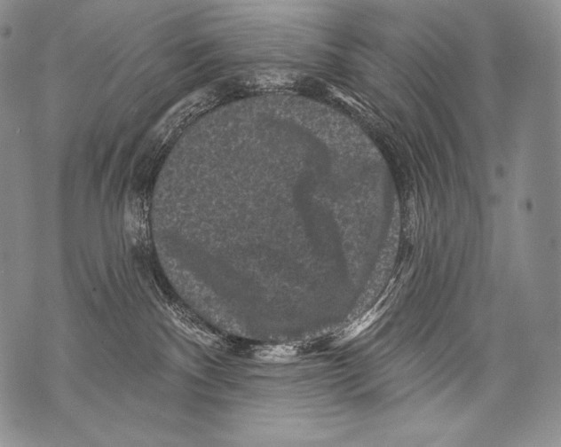 X0000071850140200607290142