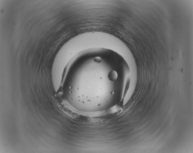 X0000071850141200607290142