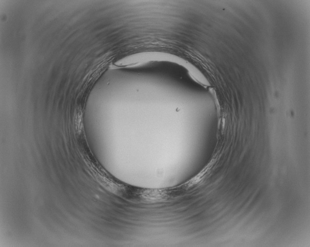 X0000071850142200607290142