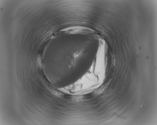 X0000071850143200607290142