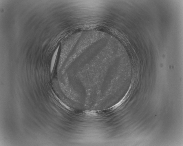 X0000071850144200607290142