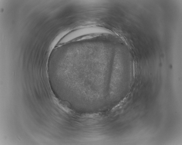 X0000071850147200607290141