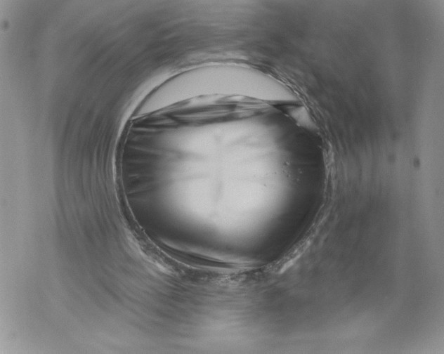 X0000071850148200607290141