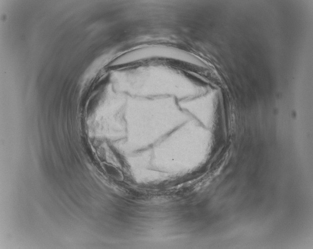 X0000071850149200607290141