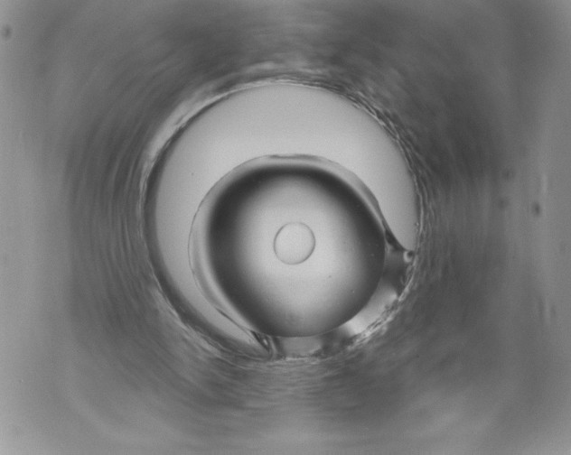 X0000071850150200607290141