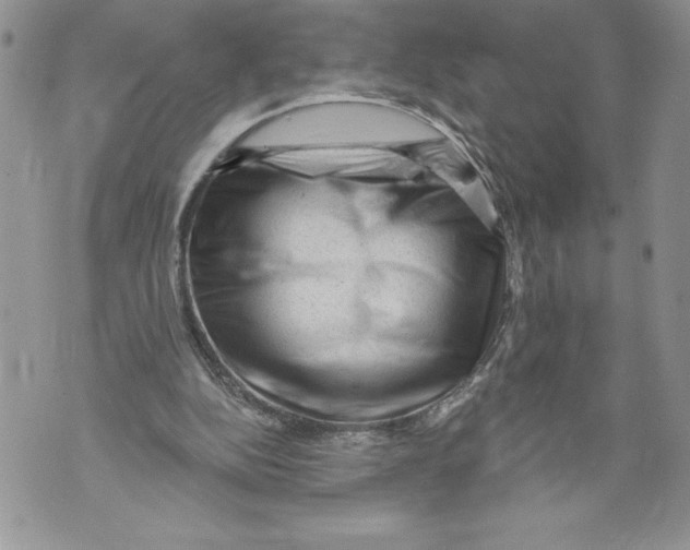 X0000071850152200607290141