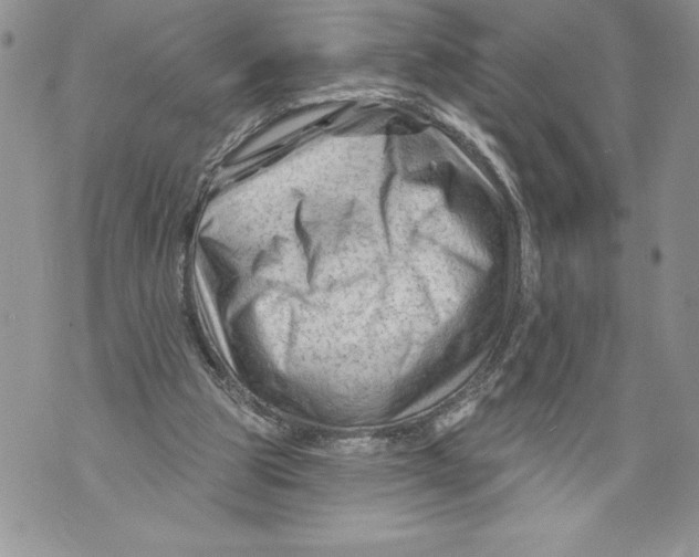 X0000071850153200607290141