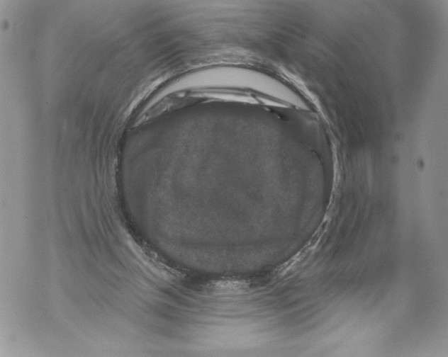 X0000071850154200607290141