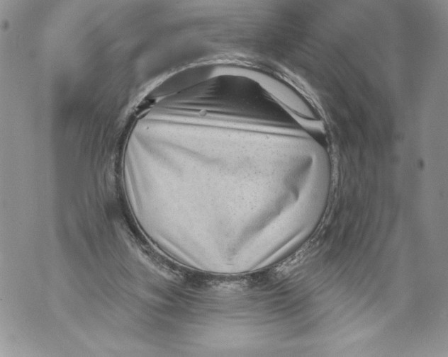 X0000071850155200607290141