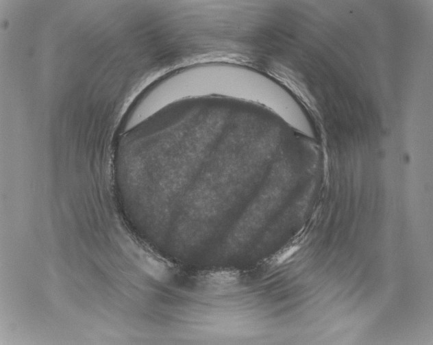 X0000071850156200607290141