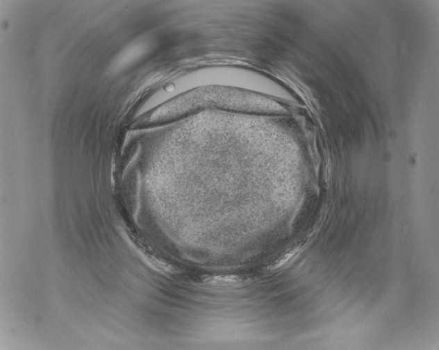 X0000071850157200607290141