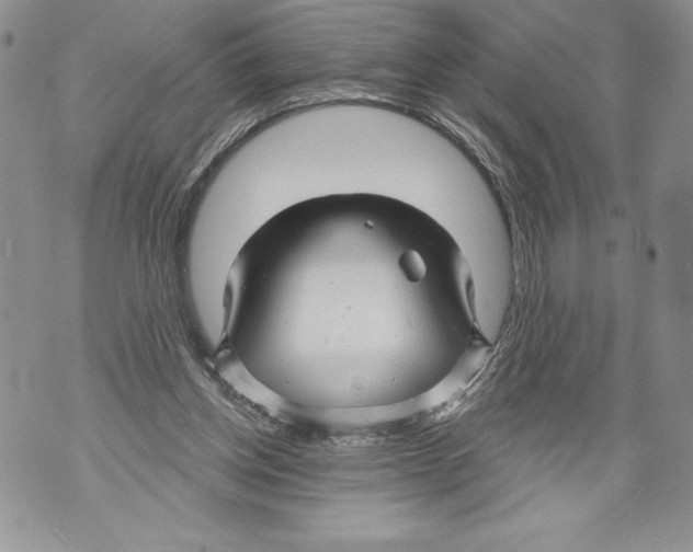 X0000071850158200607290141