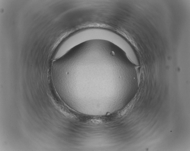 X0000071850159200607290141