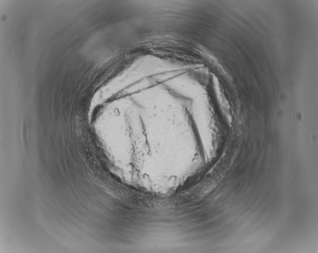 X0000071850161200607290141