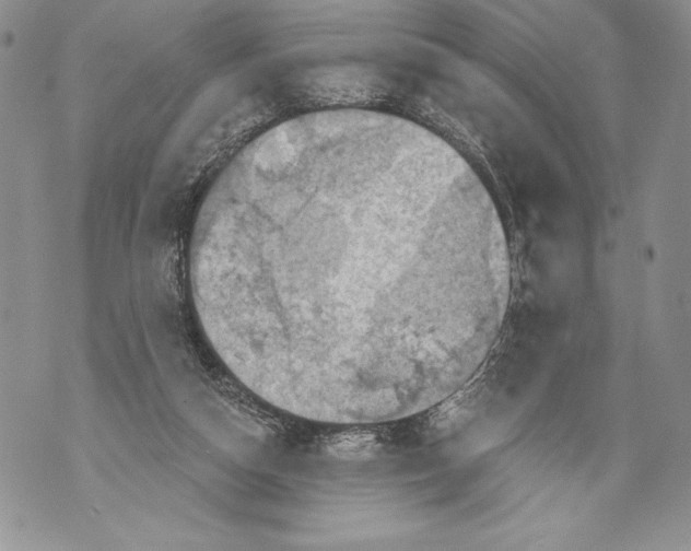 X0000071850162200607290141