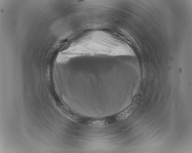 X0000071850163200607290141