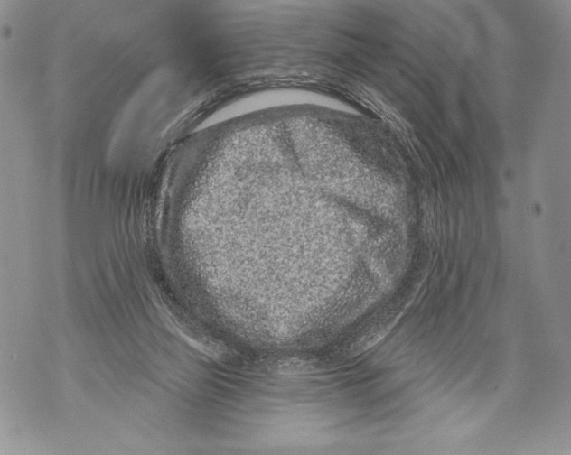 X0000071850165200607290141