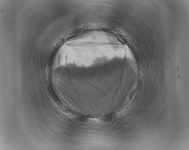 X0000071850167200607290141