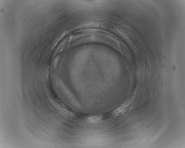 X0000071850168200607290141