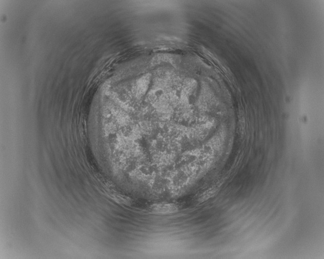 X0000071850169200607290141