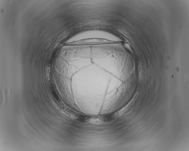 X0000071850171200607290141