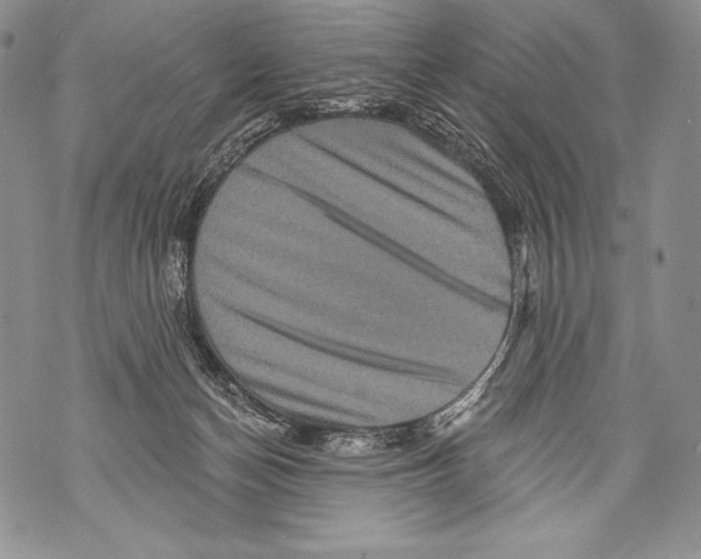 X0000071850174200607290141