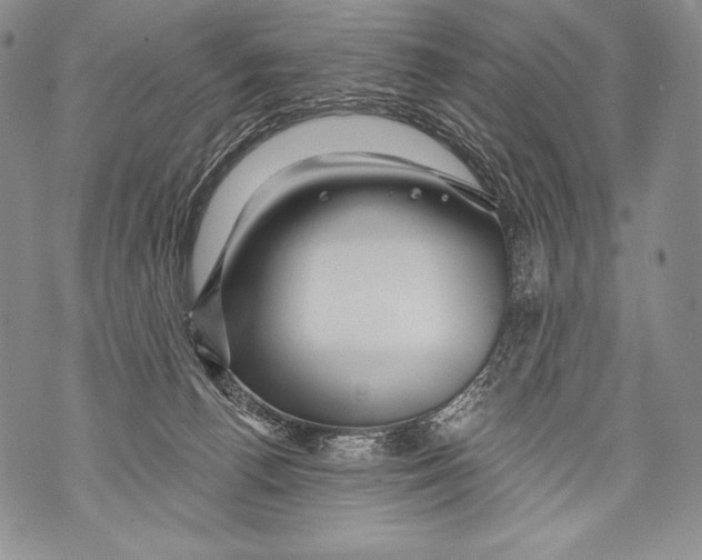 X0000071850176200607290141