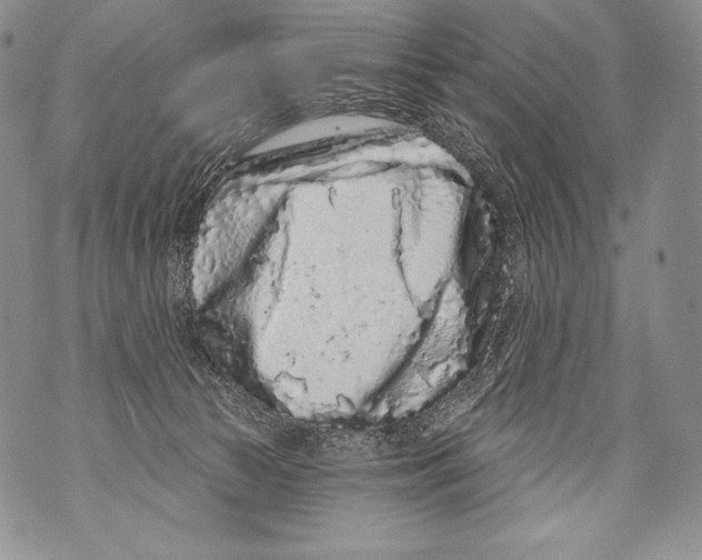 X0000071850177200607290141