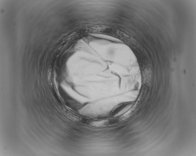 X0000071850178200607290141