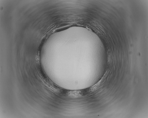 X0000071850179200607290141