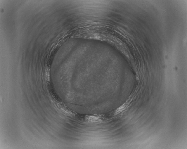 X0000071850180200607290141