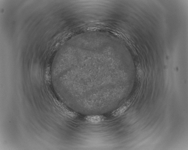 X0000071850181200607290141