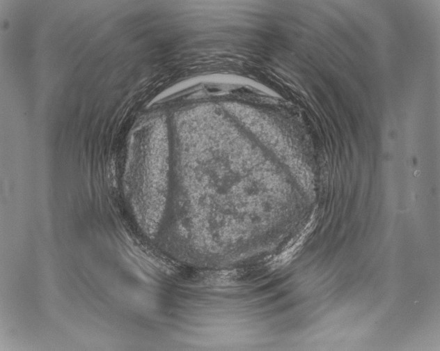 X0000071850182200607290141