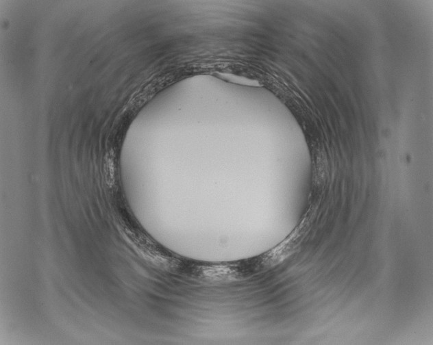 X0000071850183200607290141