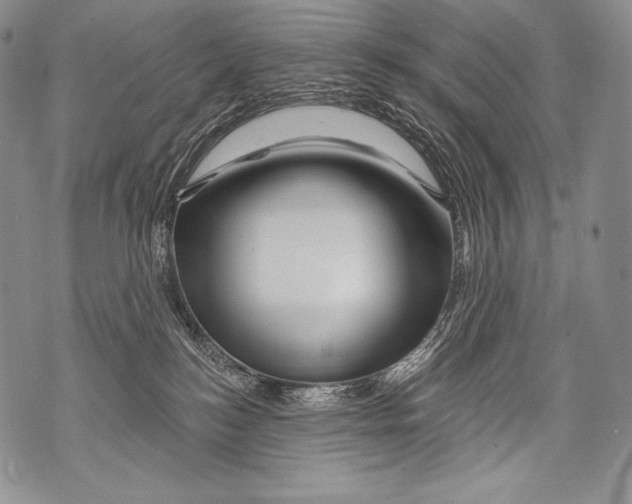 X0000071850184200607290141