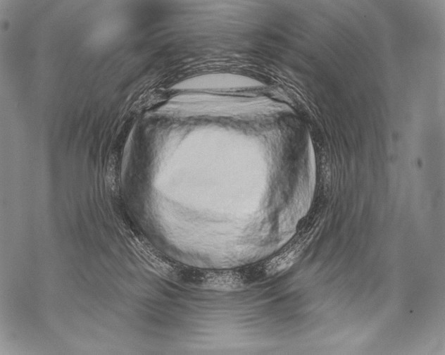 X0000071850185200607290141