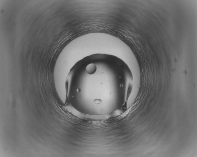 X0000071850188200607290141