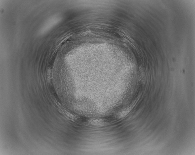 X0000071850189200607290142