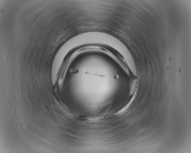 X0000071850190200607290142