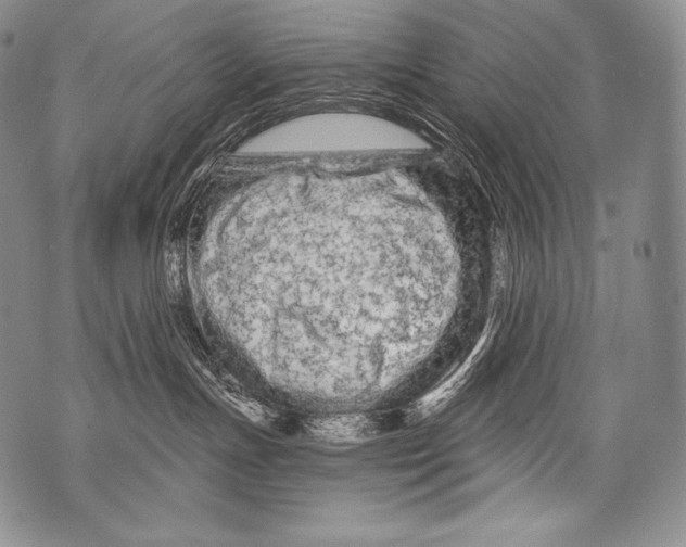 X0000071850191200607290142