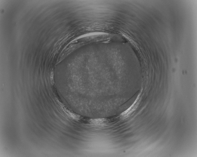 X0000071850192200607290142