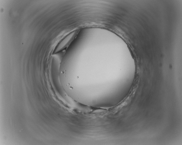 X0000071850193200607290141