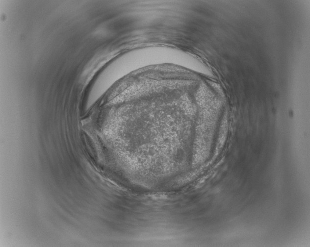 X0000071850194200607290141